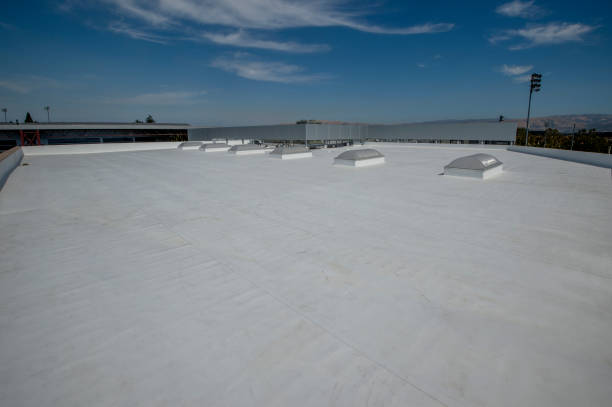 Best Solar Panel Roofing Installation  in Syracuse, KS